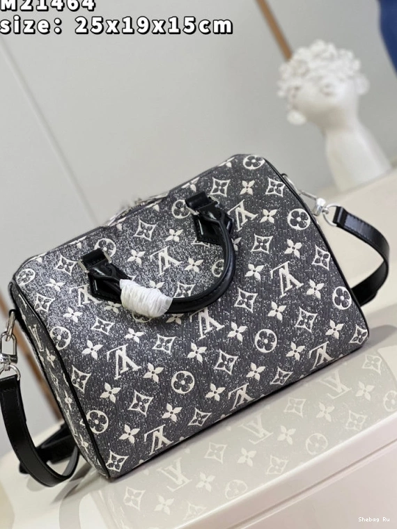 25 BANDOULIÈRE SPEEDY LOUIS VUITTON 0807